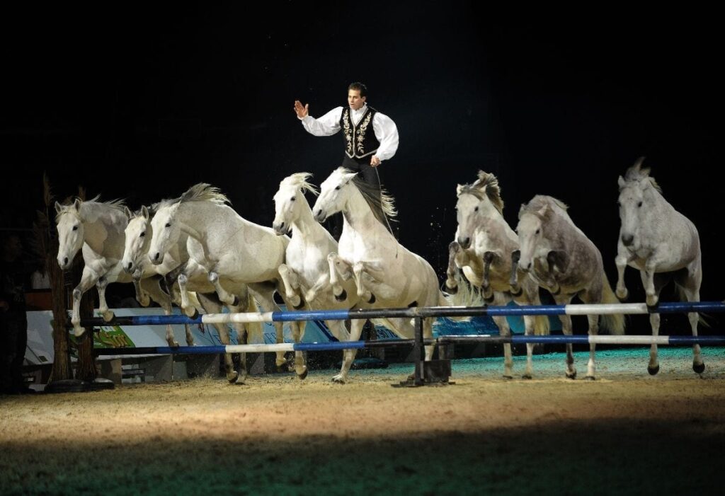 Weltstar Lorenzo kommt 2015 nach Salzburg! © Lorenzo