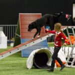In der Kids Area können unsere kleinen Gäste sich auch mal in Agility versuchen. © Michael Graf