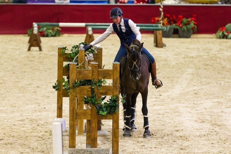 In der Working Equitation wird von Reitern und Pferden Geschicklichkeit, Harmonie und Mut gefordert - ein echtes Highlight bei der Amadeus Horse Indoors! © Michael Graf