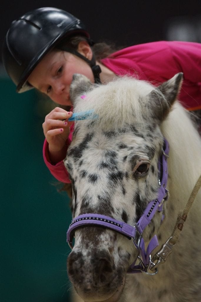 Die jüngsten Gäste können nicht nur den Großen im Sattel zusehen, sondern auch selbst einmal aufs Pony steigen. © Salzburg CityGuide