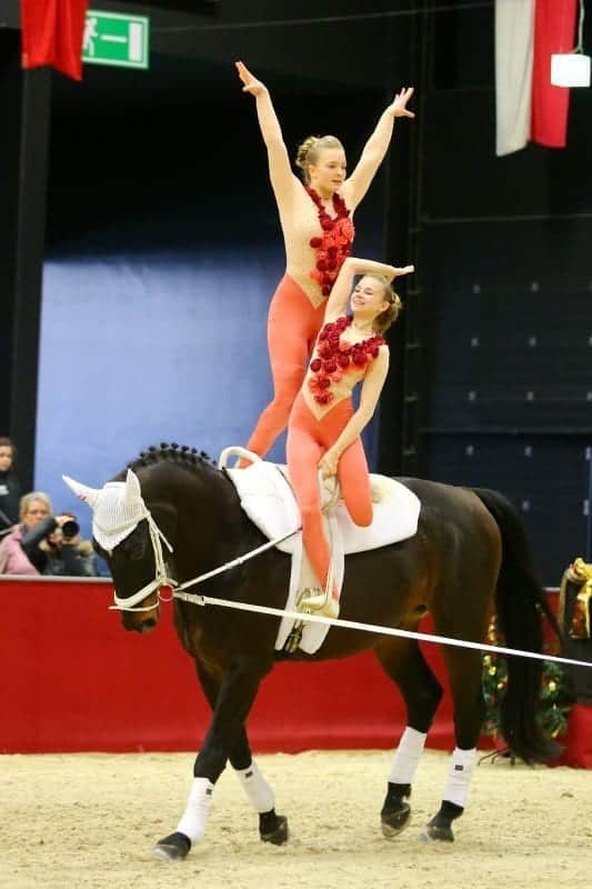 Impressionen vom internationalen Voltigierturnier in Salzburg. © Andrea Fuchshumer