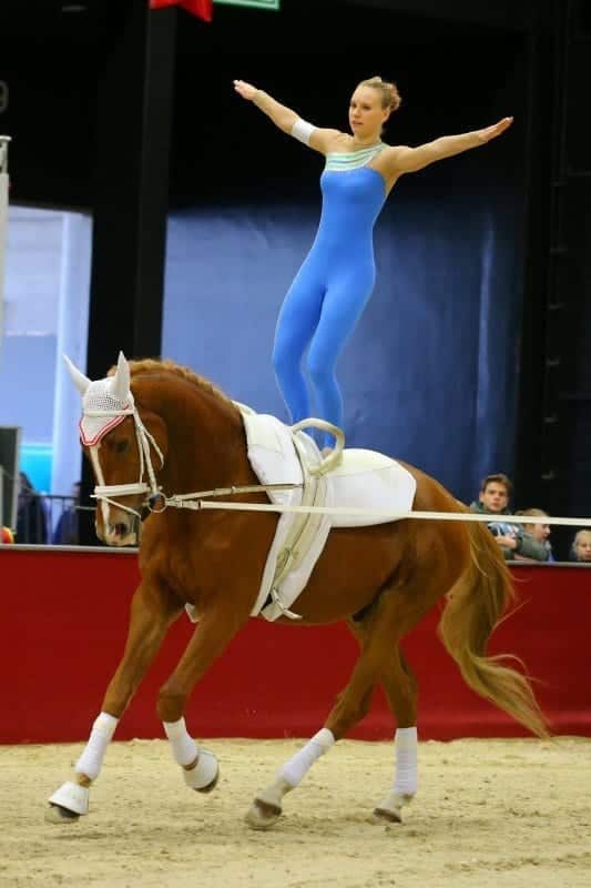 Impressionen vom internationalen Voltigierturnier in Salzburg. © Andrea Fuchshumer