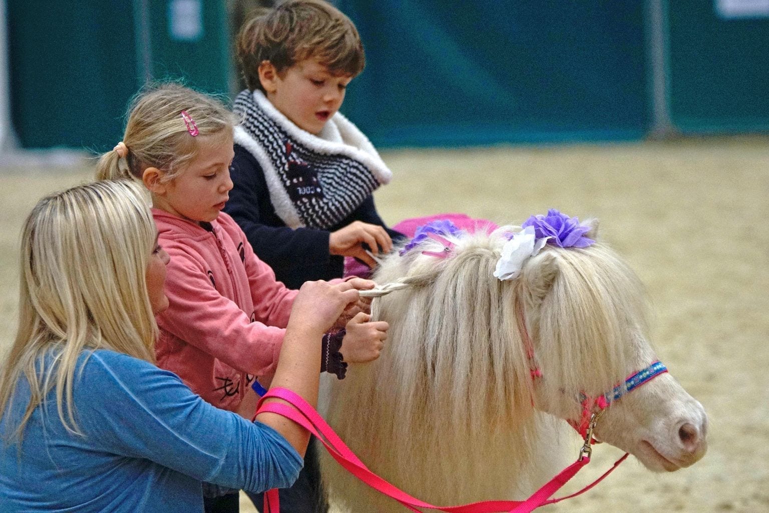 Am Donnerstag, den 07.12. gibt es freien Eintritt für Schulklassen und Kindergartengruppen im Rahmen des pferdestarken Schul- und Kindergartentages bei der Amadeus Horse Indoors. © Salzburg Cityguide