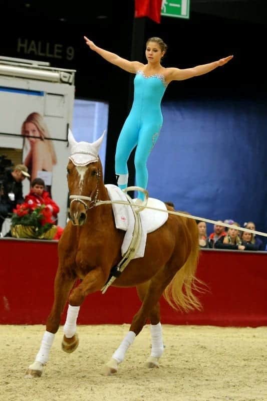 Impressionen vom internationalen Voltigierturnier in Salzburg. © Andrea Fuchshumer