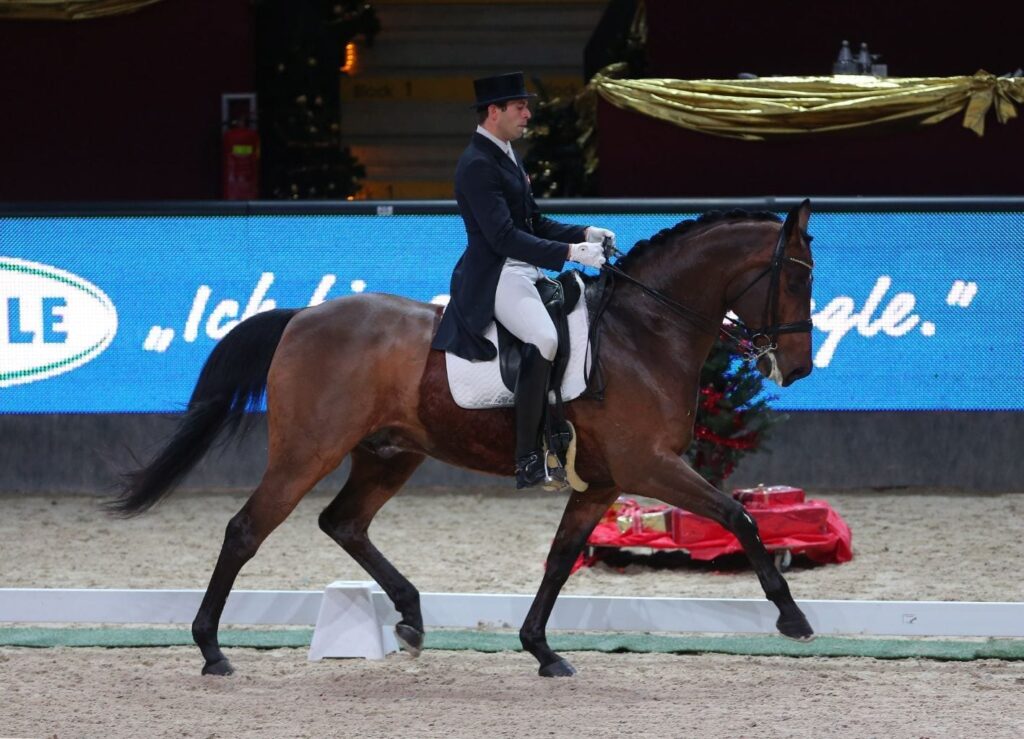 Christian Schumach (AUT/K) und Auheim's Picardo holten Rang drei im CDI4* Meggle Grand Prix Special. © Fotoagentur Dill