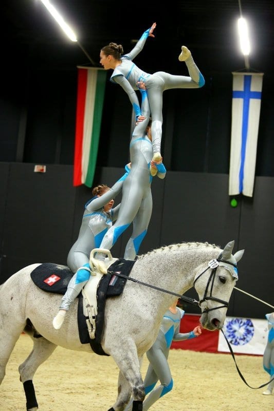 Impressionen vom internationalen Voltigierturnier in Salzburg. © Andrea Fuchshumer