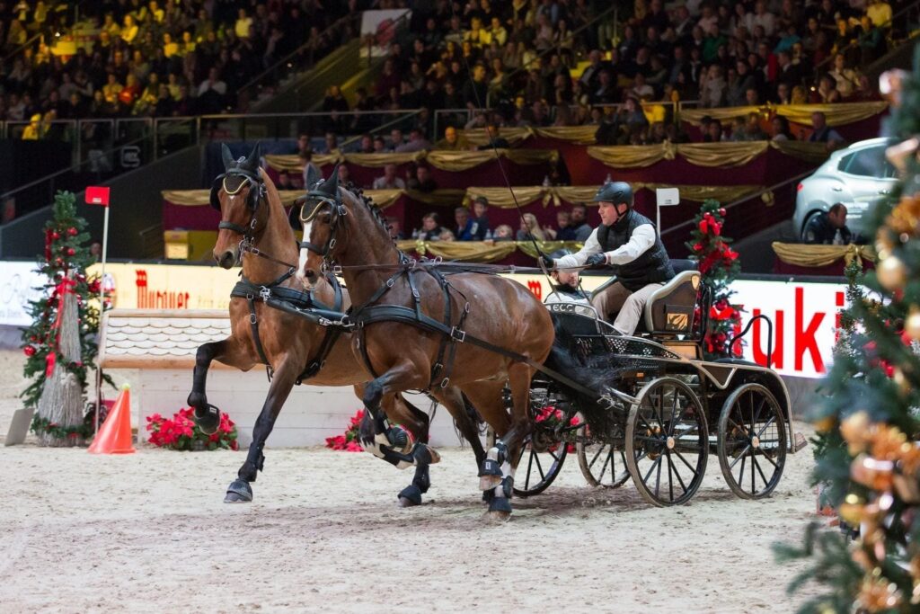 Siggi Widerer (GER) holte Rang drei in der Murauer Driving Challenge. © Michael Graf