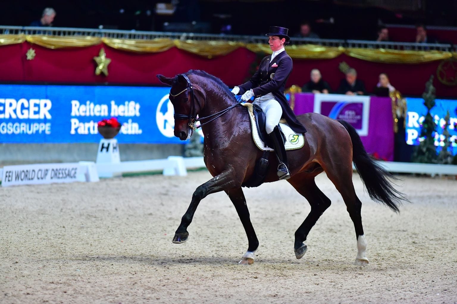 Die EM-Reiterin und amtierende Staatsmeisterin Belinda Weinbauer wird im Dressur-Weltcup in der Salzburgarena Österreichs Farben vertreten. © im|press|ions – Daniel Kaiser