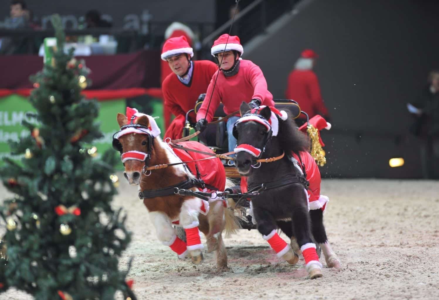 Wie ihr zu günstigen Karten für die Amadeus Horse Indoors 2017 kommt, gibt’s hier nachzulesen. © Fotoagentur Dil
