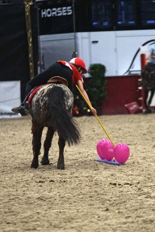 Rasante Ponyspiele von Freitag bis Sonntag in der Colloseum Arena in der Messehalle. © salzburg-cityguide.at
