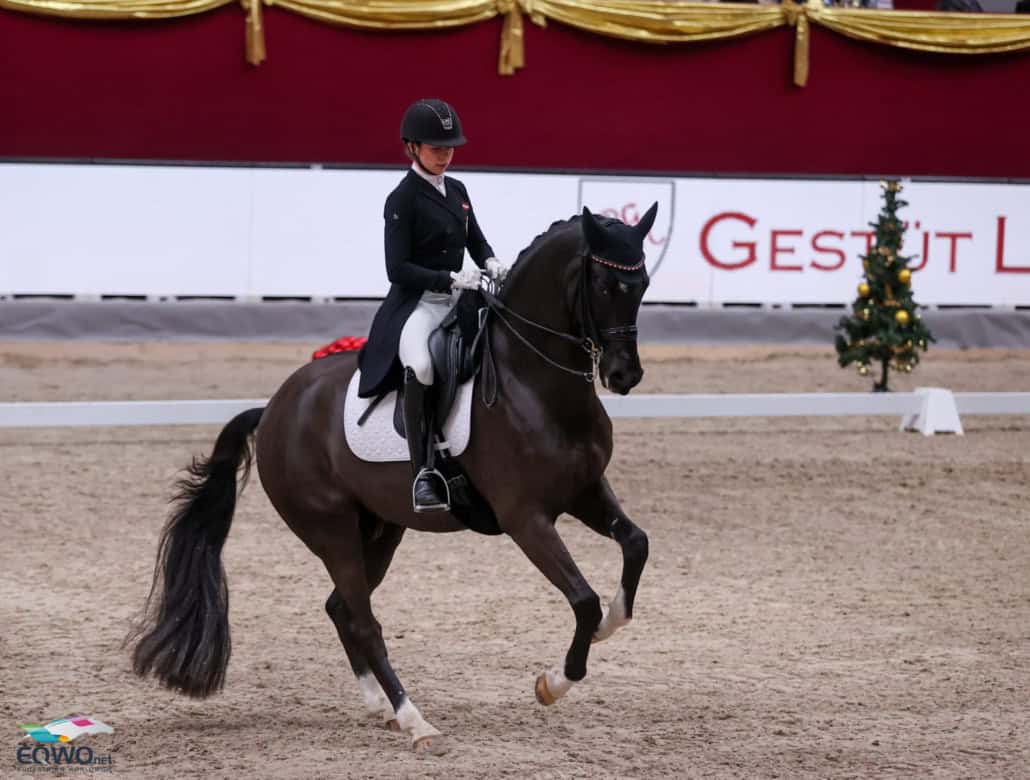 Immowert’s Ivar rührte Felicita Simoncic (W) zu Tränen, als er in der Salzburgarena zu neuer persönlicher Bestleistung tanzte. © EQWO.net | Petra Kerschbaum